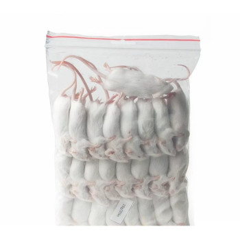 Ratones peludos congelados 5-7g Premium - 25 piezas