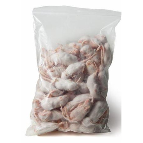 Frozen fluffy mice 4-5g - 1kg