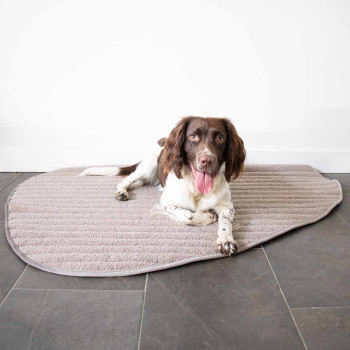 Pebble - Dubbelzijdige plaid voor honden taupe - 120x95x2cm