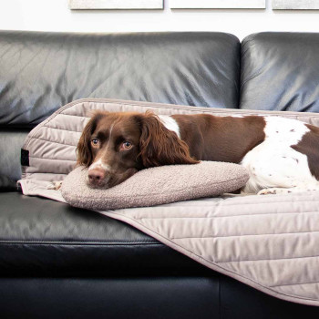 Pebble - Wendedecke mit Karomuster für Hunde in Taupe - 120x95x2cm