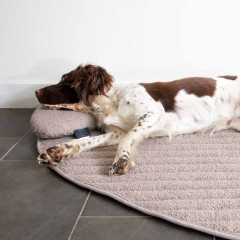 Pebble - Dog pillow taupe - 39x26x7.5cm