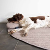 Hundekissen taupe - 39x26x7,5cm - Pebble