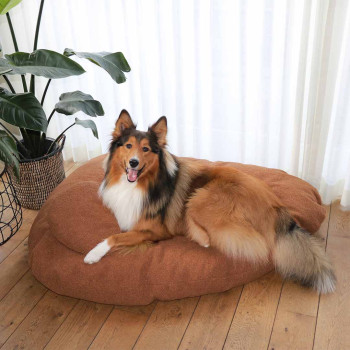 Orange dog cushion - 104x69x26cm - Pebble