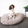 Coussin pour chiens taupe L -  104x69x26cm - Pebble