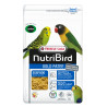 copy of Frutti Pasta Fortificante Suplemento Nutritivo - 250gr - NutriBird