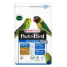 Gold Pâtée Budgies and Small Parrots 10kg - Fatty Pâtée - NutriBird