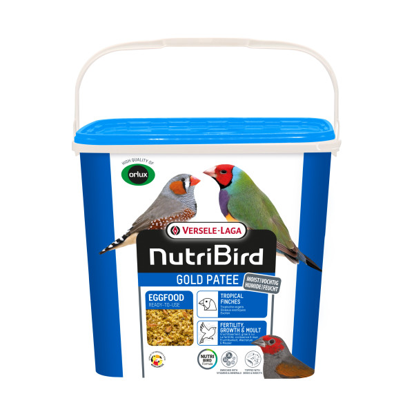 Gold Pâtée Oiseaux exotiques 5kg - Pâtée grasse avec insectes - NutriBird