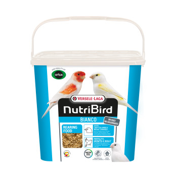 Pâtée blanche sèche 4kg - Rearing Food Bianco - Pâtée Élevage - NutriBird