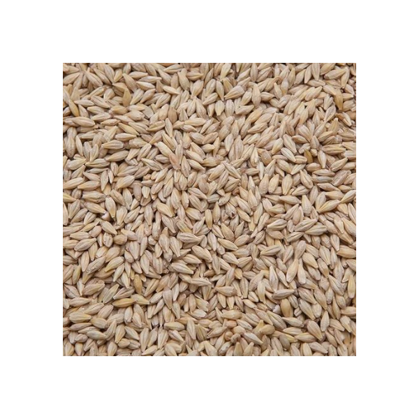 copy of Pigeon barley - Beyers - 25kg