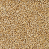 copy of Canary seed 20kg - Manitoba