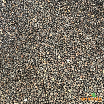 Braune Perilla 1kg