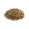 copy of Clover Seeds 5kg - Blattner