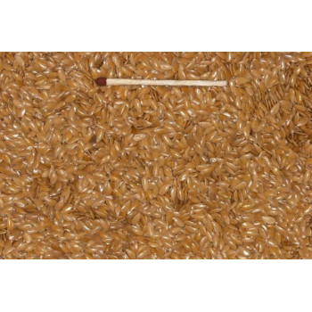 Yellow Flax Seeds 25kg