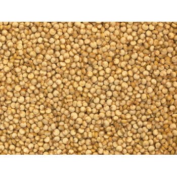 Quinoa-Samen 1kg