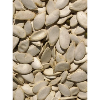 Pumpkin Seeds 1kg