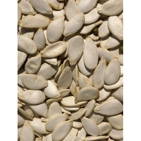 copy of Pumpkin Seeds 125g