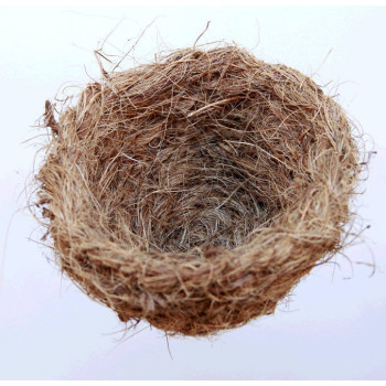 Nest aus Kokos 9-11 cm