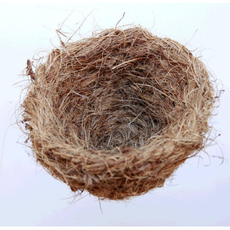 Coconut nest 9-11cm