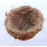 Nest aus Kokos 9-11 cm