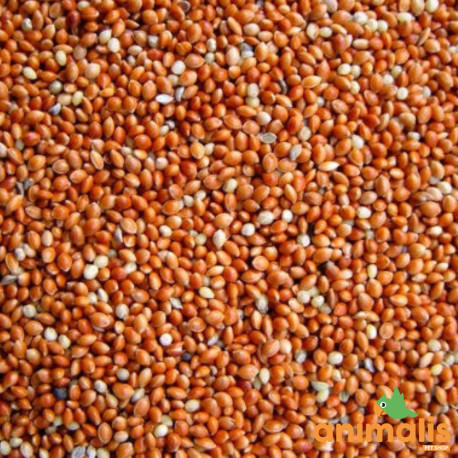 Millet Red 1kg