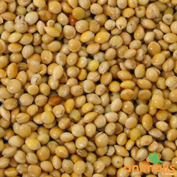 Millet jaune 1kg