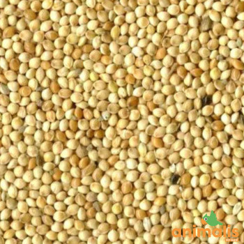 Millet weiß 1kg