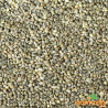 Green millet 5kg - Blattner