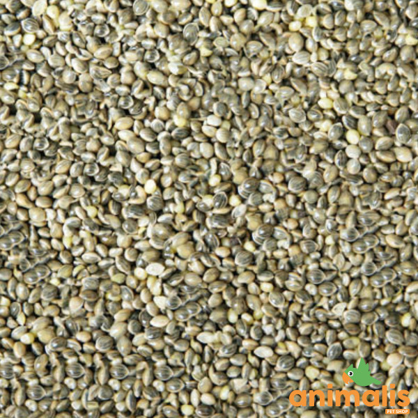 Green Millet 1kg - Blattner