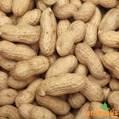 Unpeeled whole peanuts 1kg