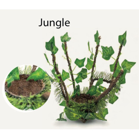 Jungle Nest