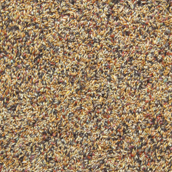 Canary Breeding Mix Without Rapeseed 20kg - Bird Supreme