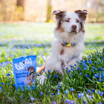 Barra suave de superalimentos con cordero y remolacha 150g - Golosinas para perros - WOW