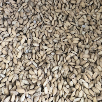 Riso grezzo 20kg