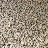 Arroz paddy 20kg