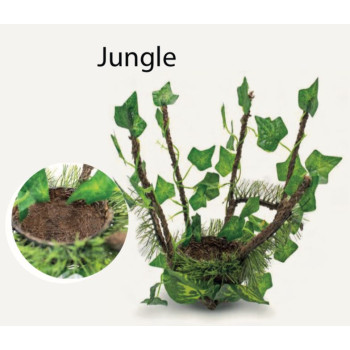 Jungle Nest