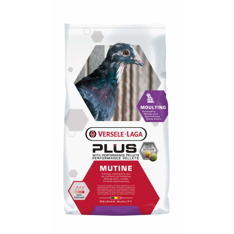 Mutine Plus 20kg - Mauser-Mischung mit Plus-Pellets - Versele-Laga