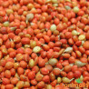 copy of Pan rojo 1kg