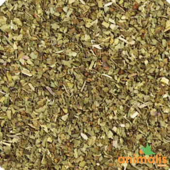 Graines de Basilicum 1kg - Vrac