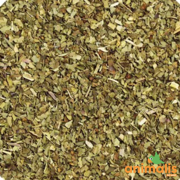 Semillas de albahaca 1kg - A granel