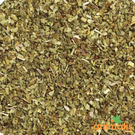 Basil seeds 1kg - Bulk