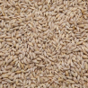 Barley for pigeons 25kg