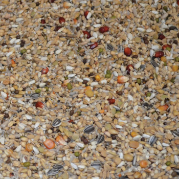 Relax Premium Power 20kg - No. 183 - High-energy mix for pigeons - Vanrobaeys