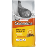 Erfolg Corn 15kg - Proteingranulat - Colombine