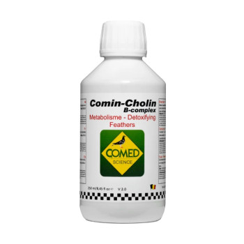 Comin-Cholin B-complex 250ml - Comed