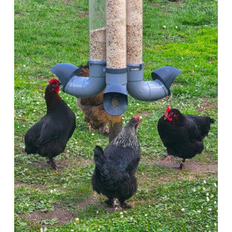 Mangiatoia per pollame anti-spreco e anti-parassiti per galline 7kg - Verde oliva - Evena
