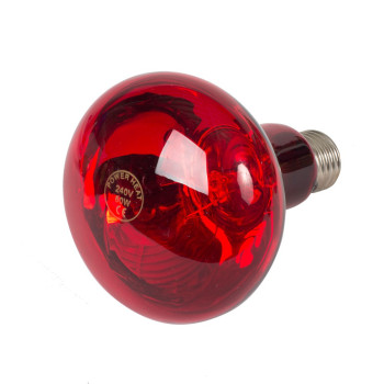 Bombilla infrarroja R95 60W / 240V / E27- Powerheat