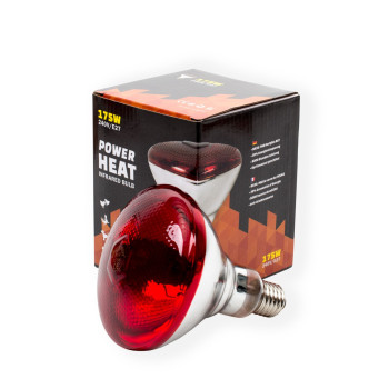 Lâmpada infravermelha BR38 - 175W - 240V - E27 vermelha - Powerheat