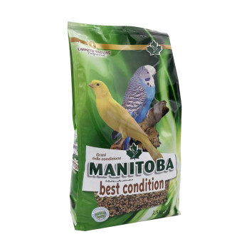 Melhor Condição 2,5kg - Manitoba