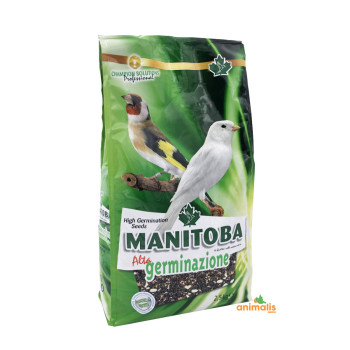 Kiemzaden Alta germinazione 2,5 kg - Manitoba