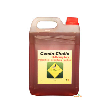 Comin-Cholin B-complex 5L